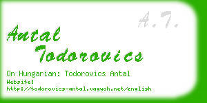 antal todorovics business card